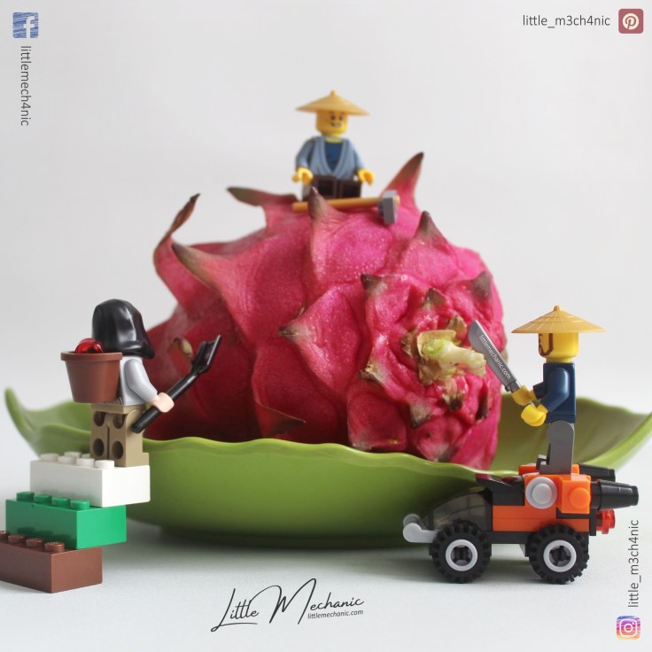 Image of custom lego minifigure petani Indonesia and buah naga dragon fruit