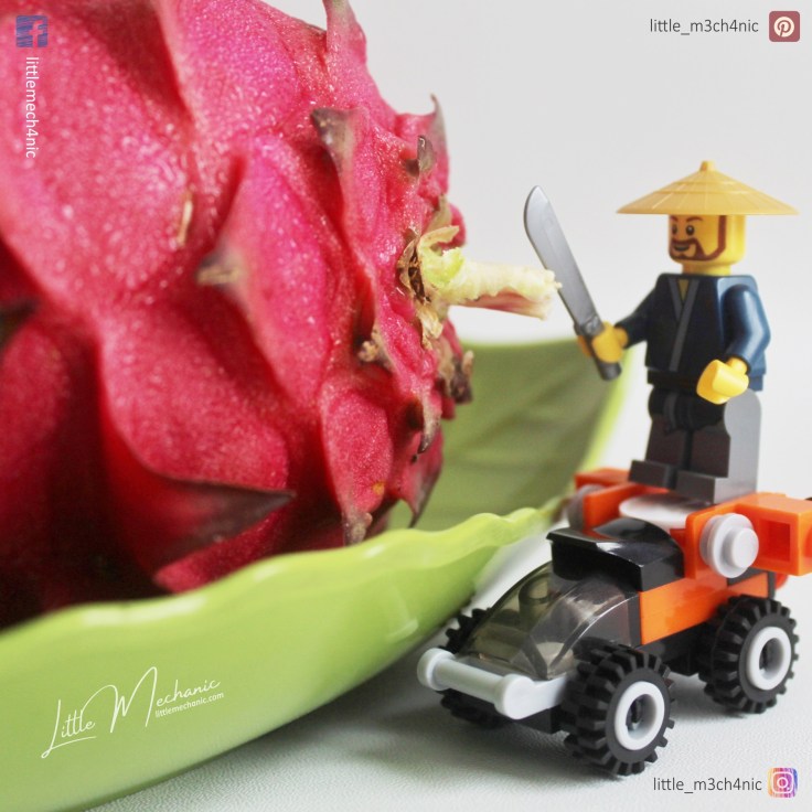 Image of custom lego minifigure petani Indonesia and buah naga dragon fruit
